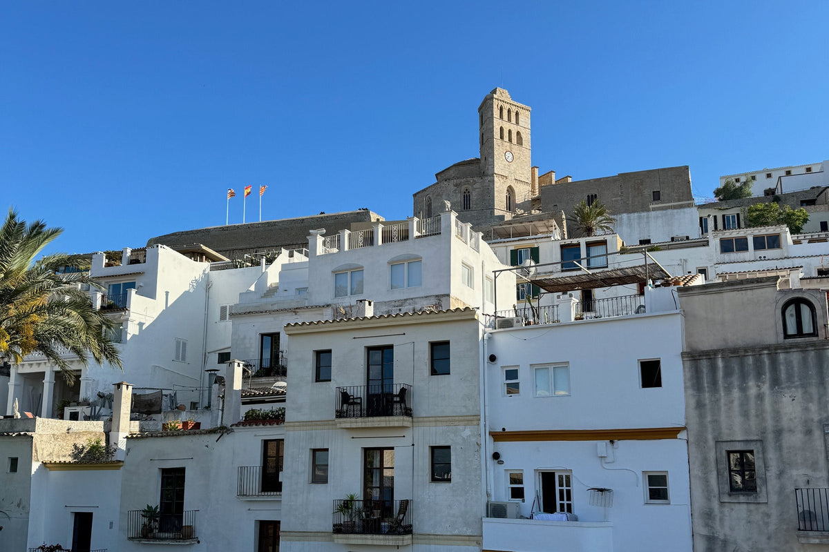 Whitewashed houses below Ibiza Cathedral in Dalt Vila