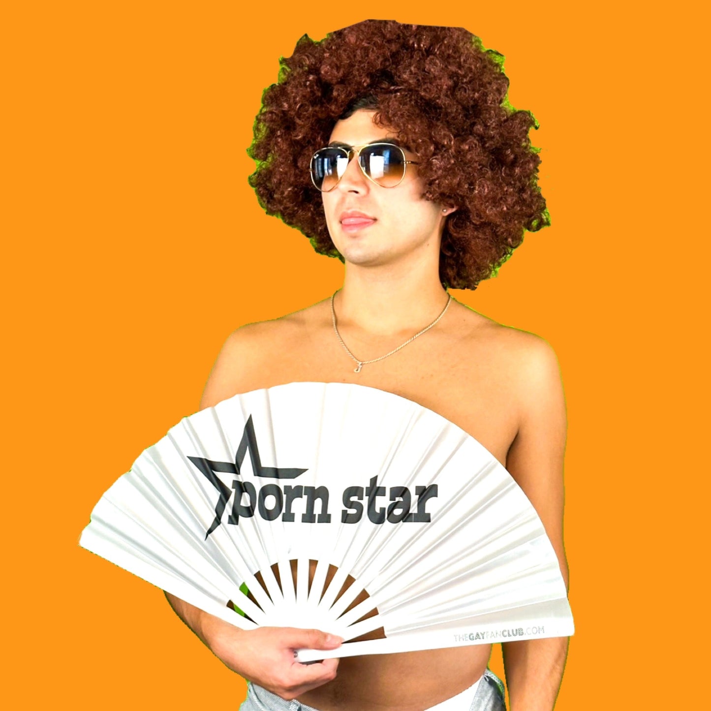 Fan de las estrellas porno
