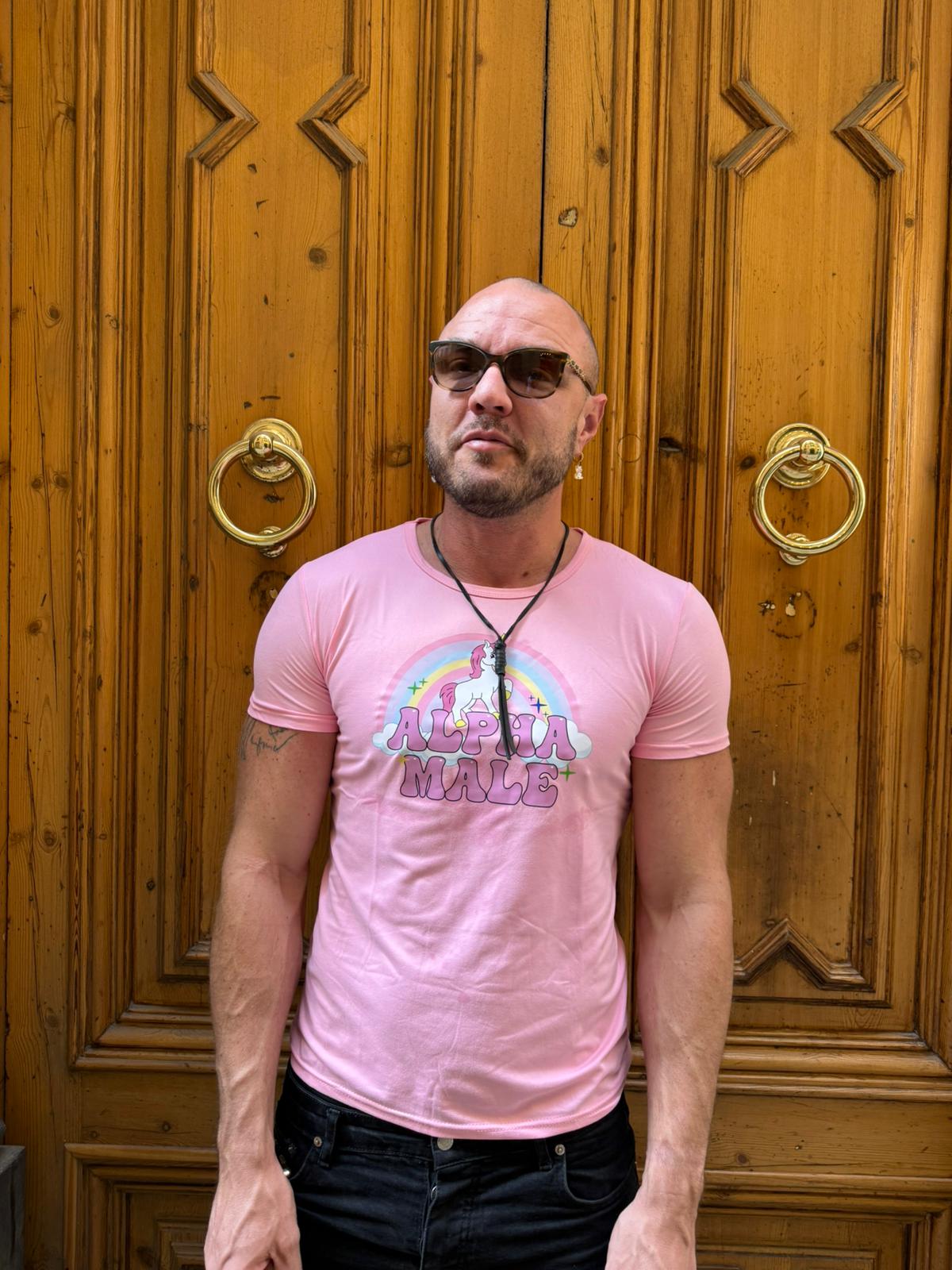 T-shirt licorne Alpha Male, t-shirts graphiques arc-en-ciel, t-shirts amusants, mode femme, hip-hop, hommes, hauts en coton, vêtements esthétiques unisexes