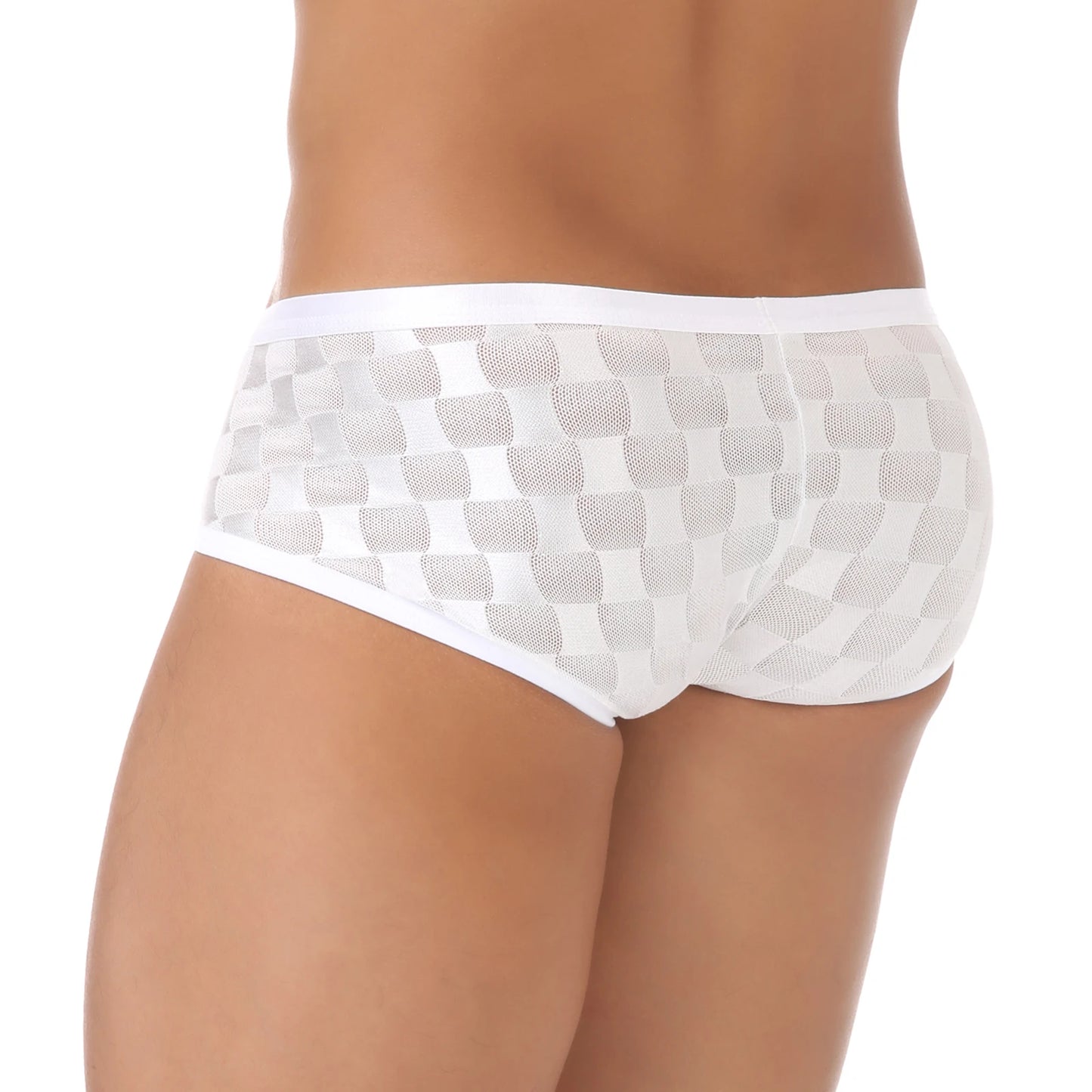 Mesh Mini Boxers Man Panties Sexy Men's Underwear Boxer Shorts Transparent Underpants See-through Checkered Pattern