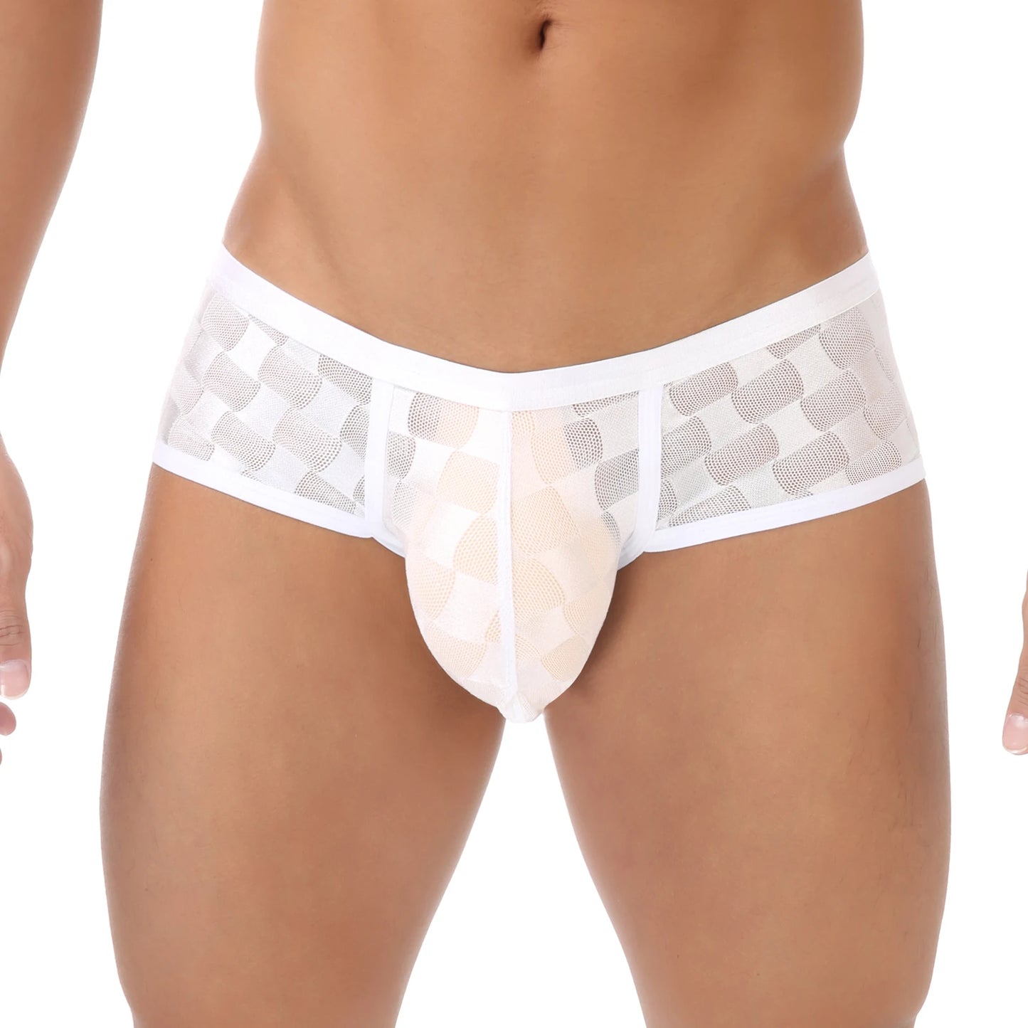 Mesh Mini Boxers Man Panties Sexy Men's Underwear Boxer Shorts Transparent Underpants See-through Checkered Pattern