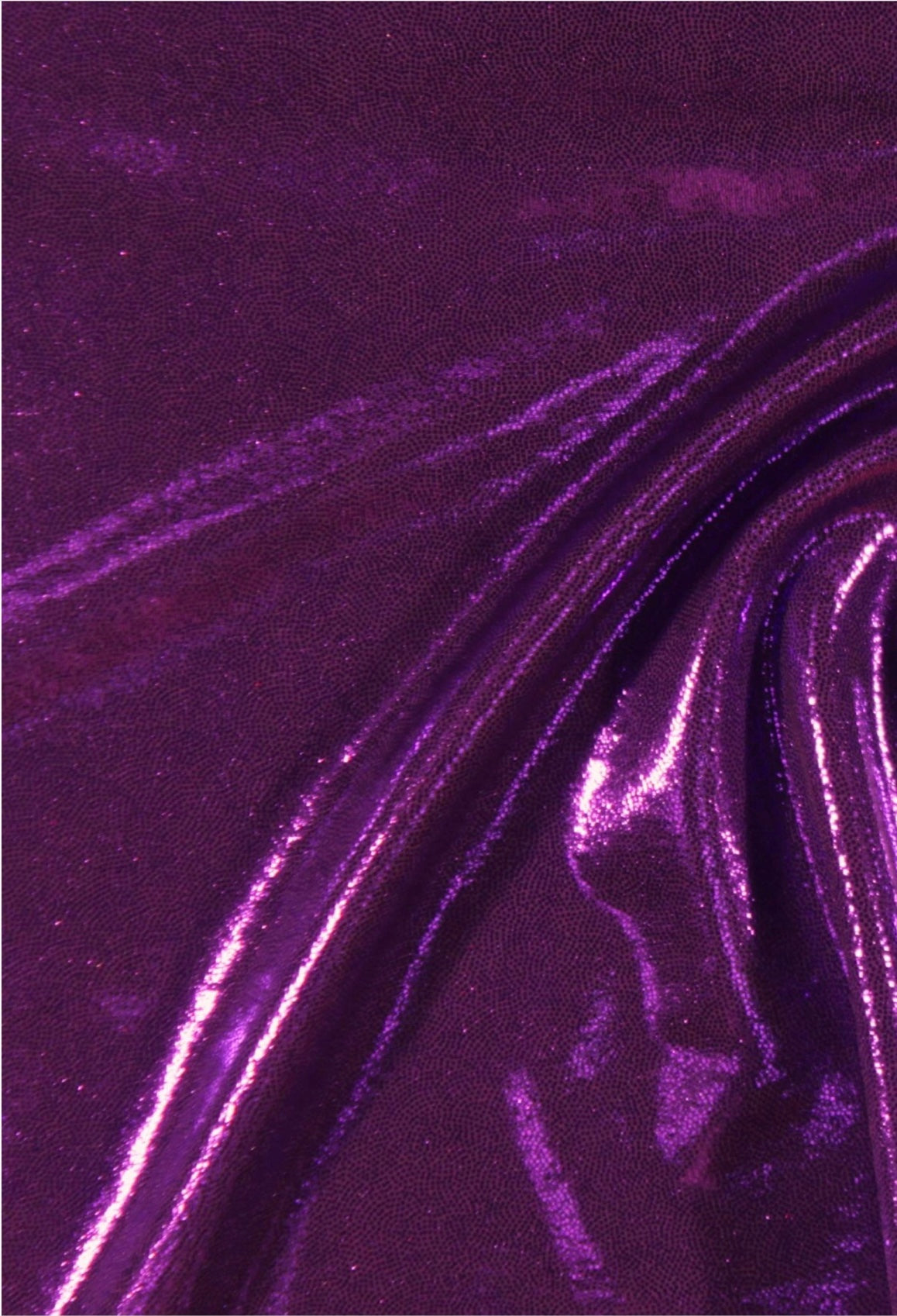 Eggplant — Bikini